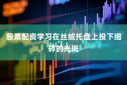 股票配资学习在丝绒托盘上投下细碎的光斑