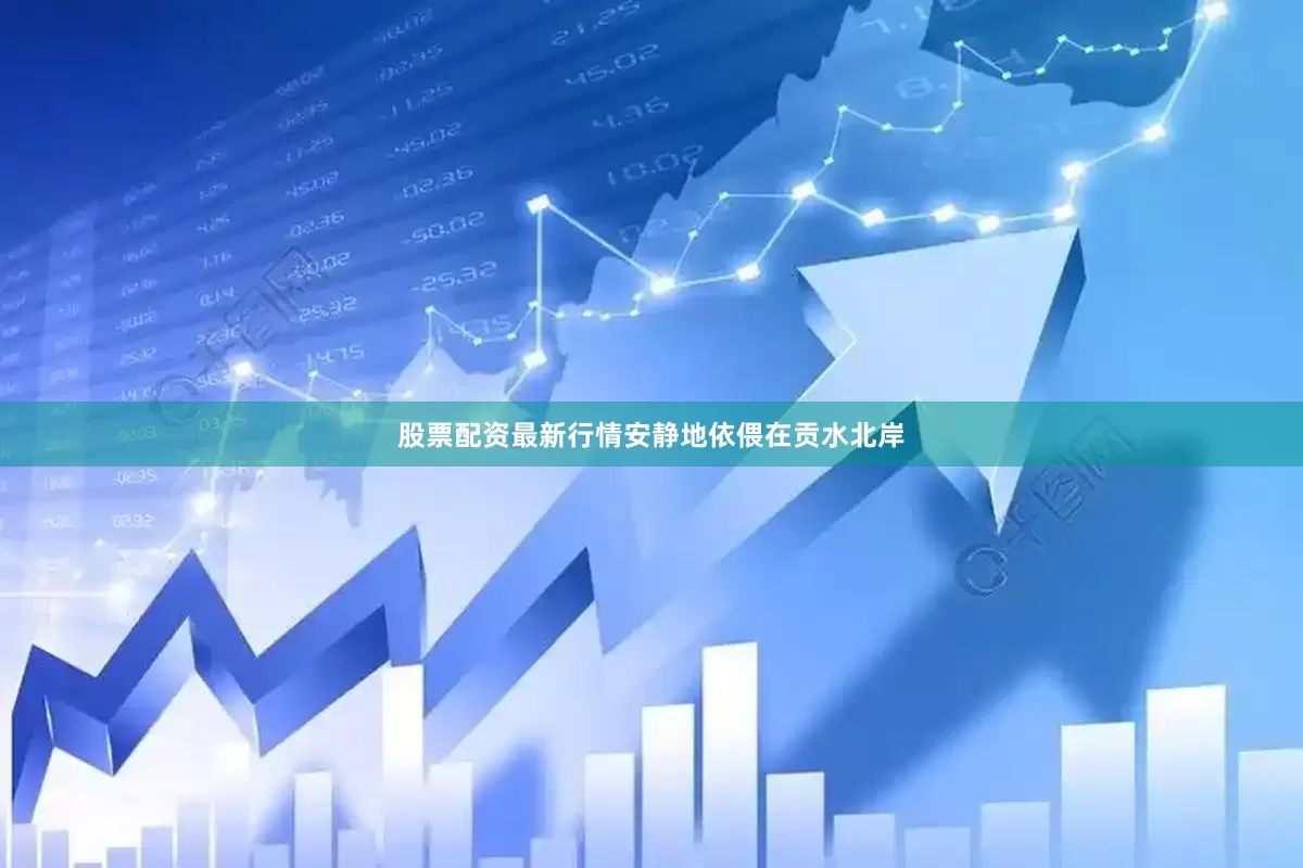 股票配资最新行情安静地依偎在贡水北岸